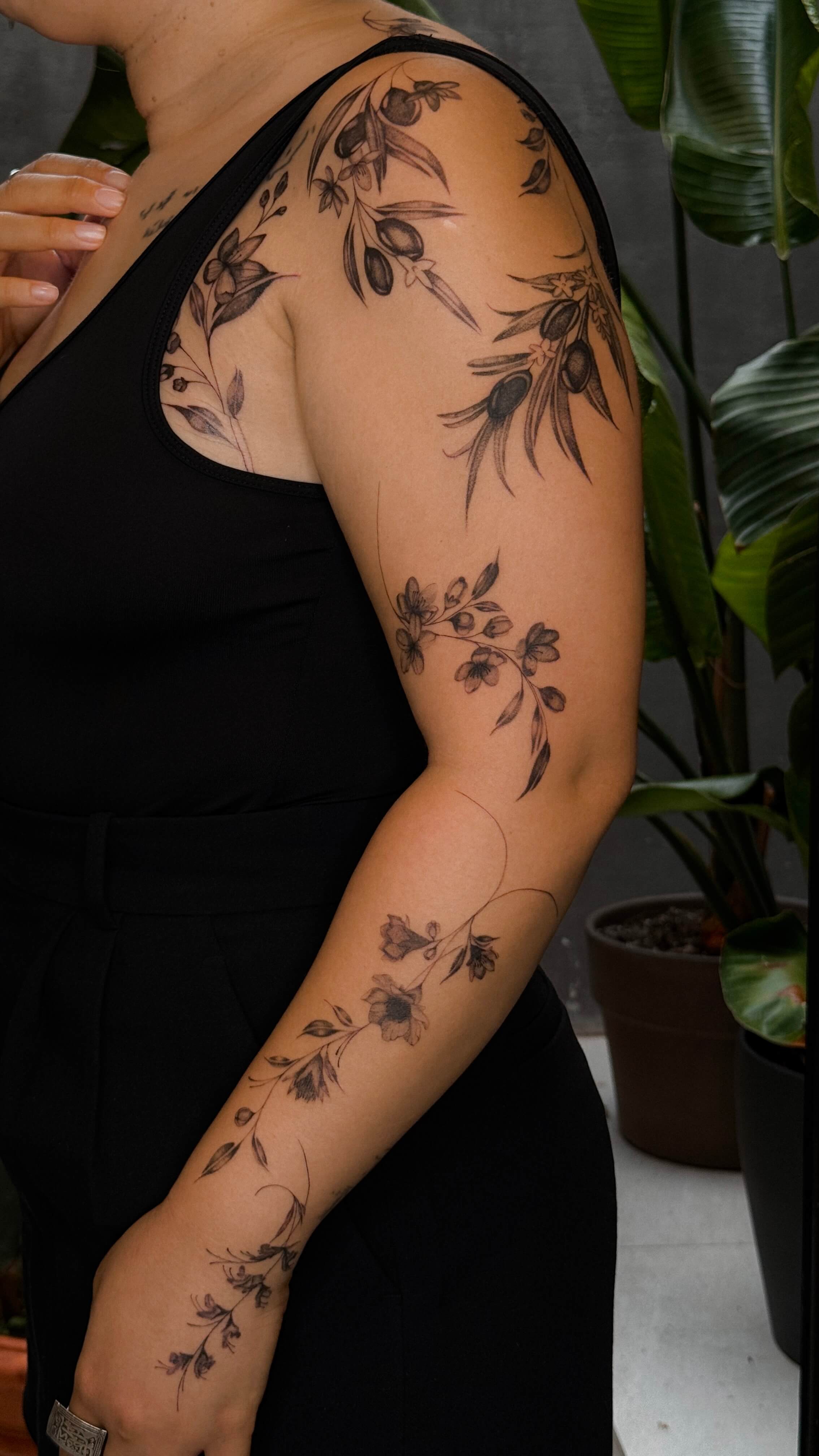 Fine line botanical tattoo, shoulder and arm, olive branch motif, Valencia